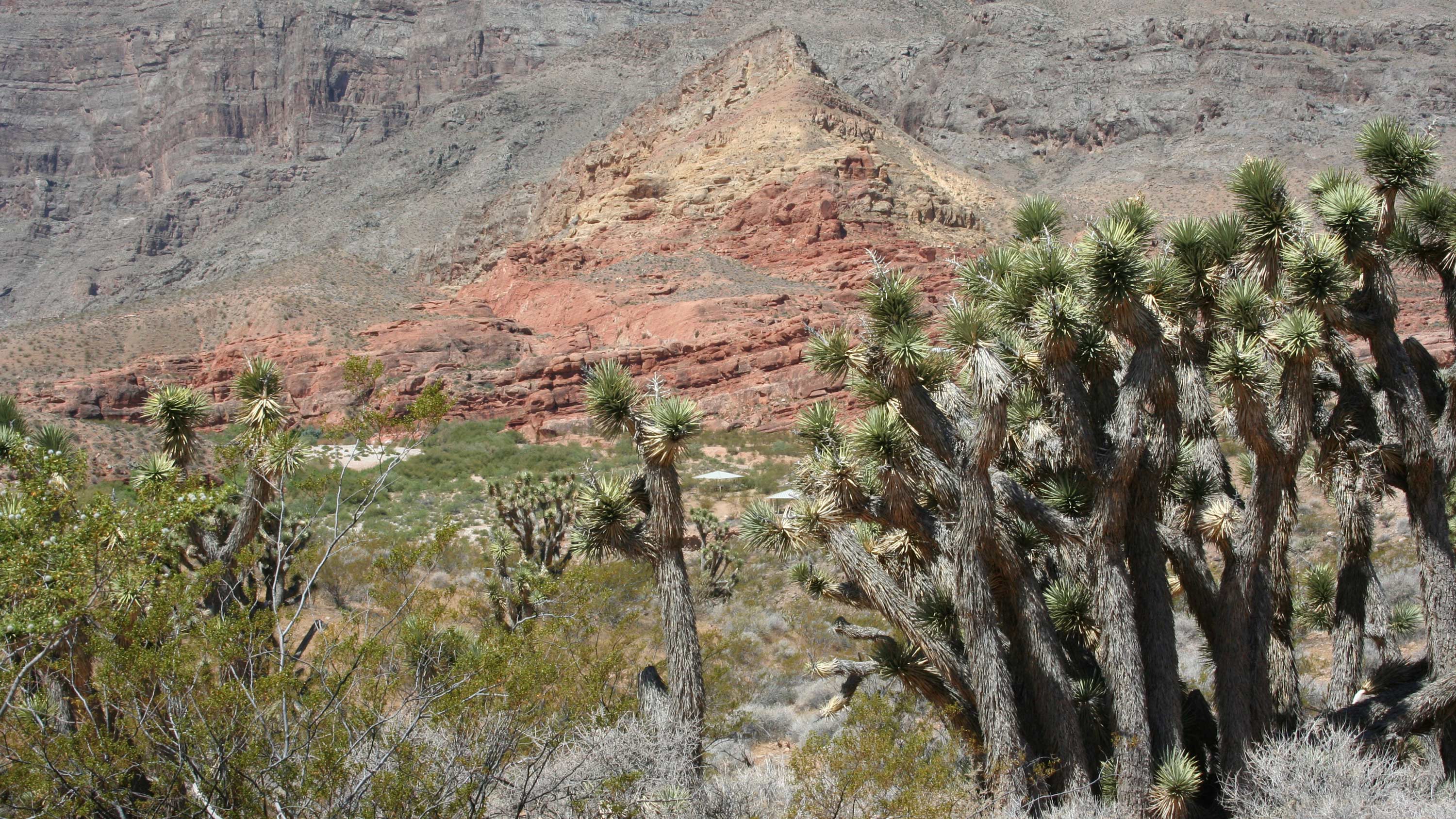 Virgin River Recreation Area